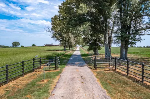 9208 Fm 17 89 Acres, Grand Saline, TX 75140