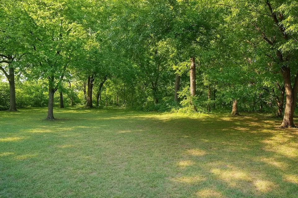  8473 Stults Rd, Dallas, TX 75243 photo 3