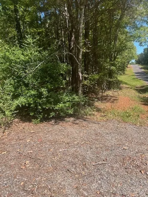 Tract 12 Cr 3273, Quitman, TX 75783