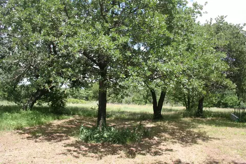 215 Buzbee Rd # A, Palo Pinto, TX 76484