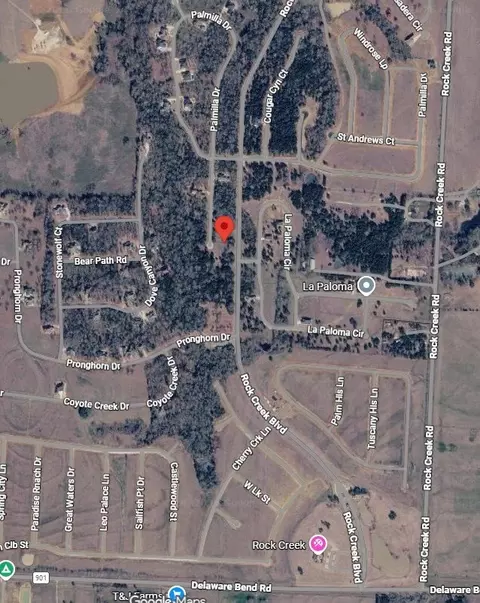 741 Palmilla Dr, Gordonville, TX 76245