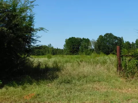 0 Cox Rd, Sarepta, LA 71071
