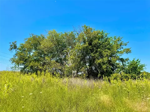 lot9 County Road 592, Nevada, TX 75173