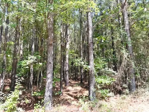 000 Highway 79 Hwy, Homer, LA 71040