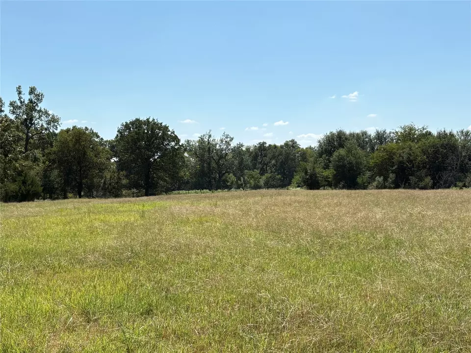  tbd 3 County Road 1168 #TRACT 3, Brashear, TX 75420 photo 4