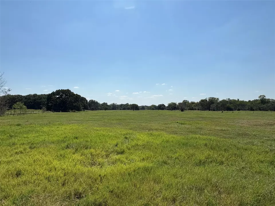  tbd 3 County Road 1168 #TRACT 3, Brashear, TX 75420 photo 8