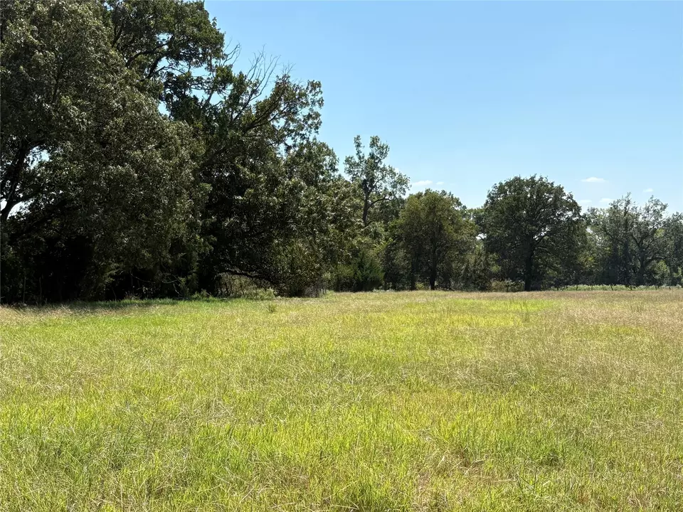  tbd 3 County Road 1168 #TRACT 3, Brashear, TX 75420 photo 5