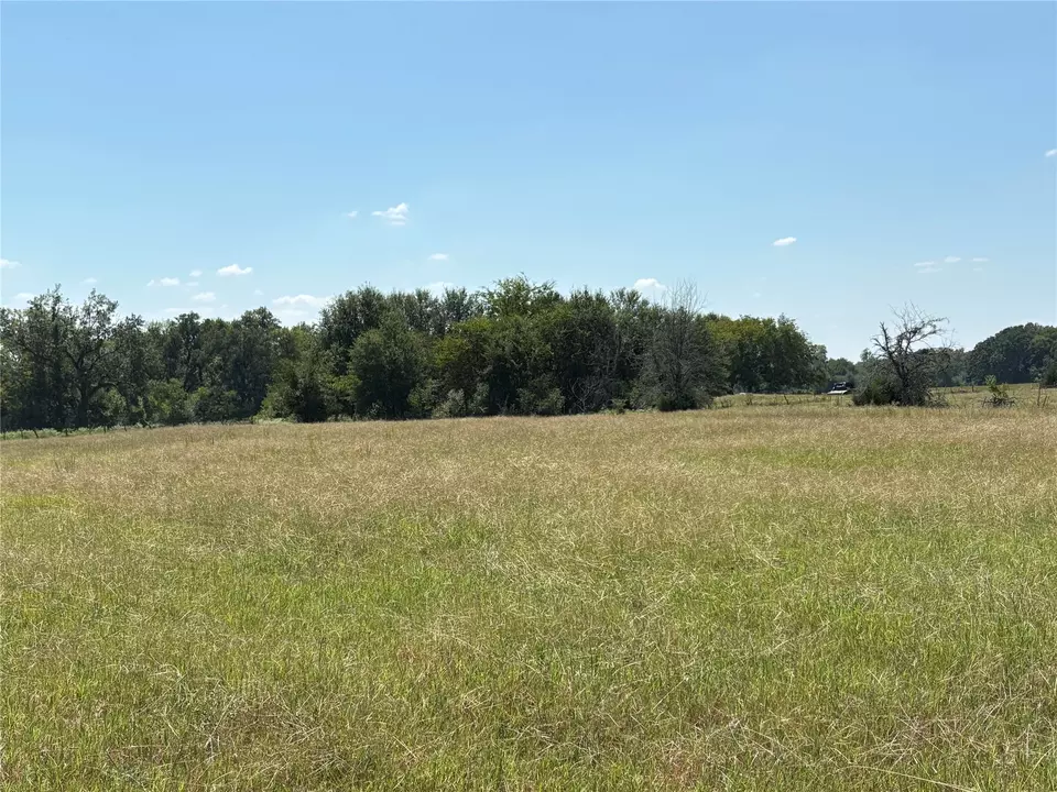  tbd 3 County Road 1168 #TRACT 3, Brashear, TX 75420 photo 3