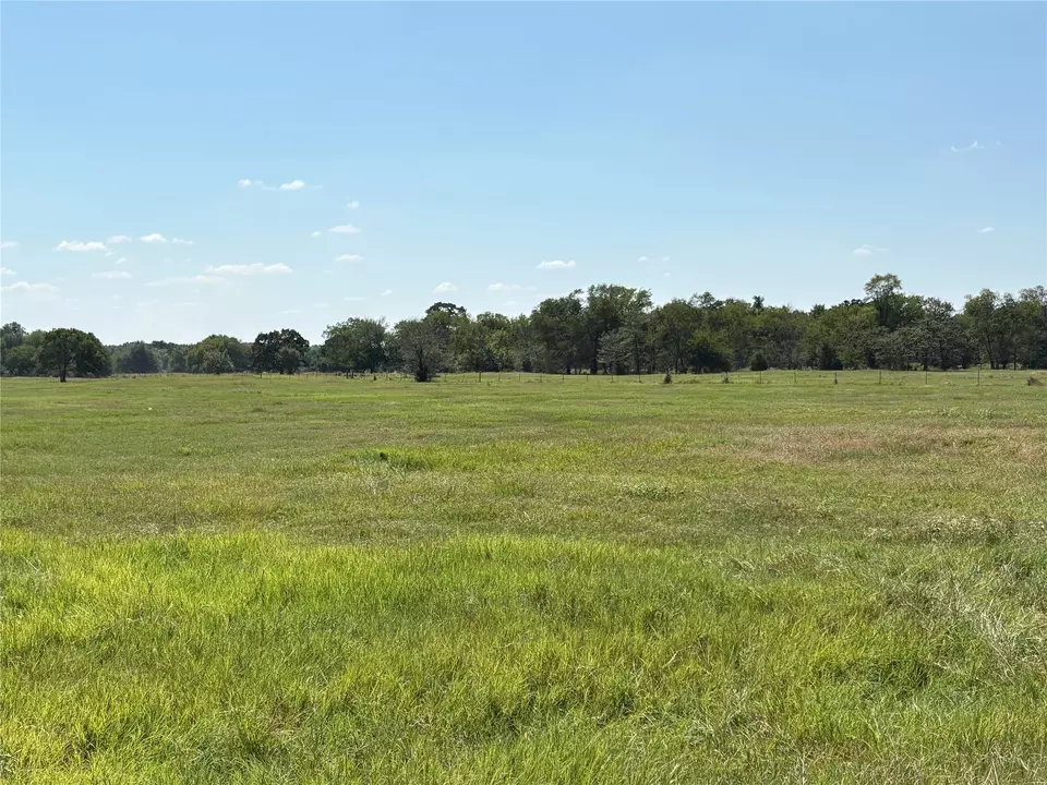  tbd 3 County Road 1168 #TRACT 3, Brashear, TX 75420 photo 6