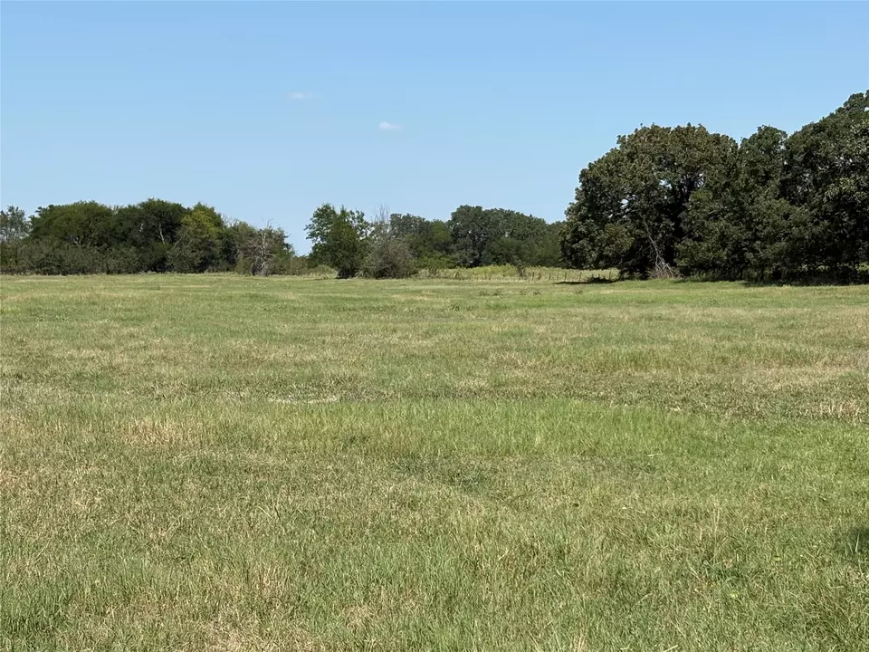 tbd 3 County Road 1168 #TRACT 3, Brashear, TX 75420 photo 1