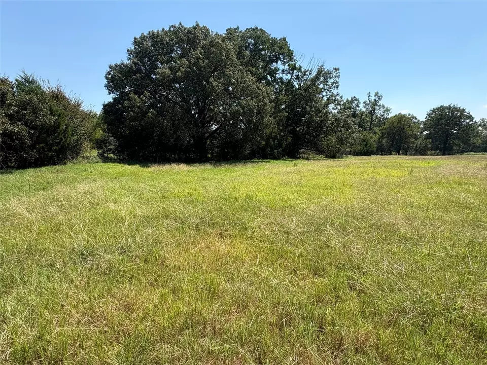  tbd 3 County Road 1168 #TRACT 3, Brashear, TX 75420 photo 2