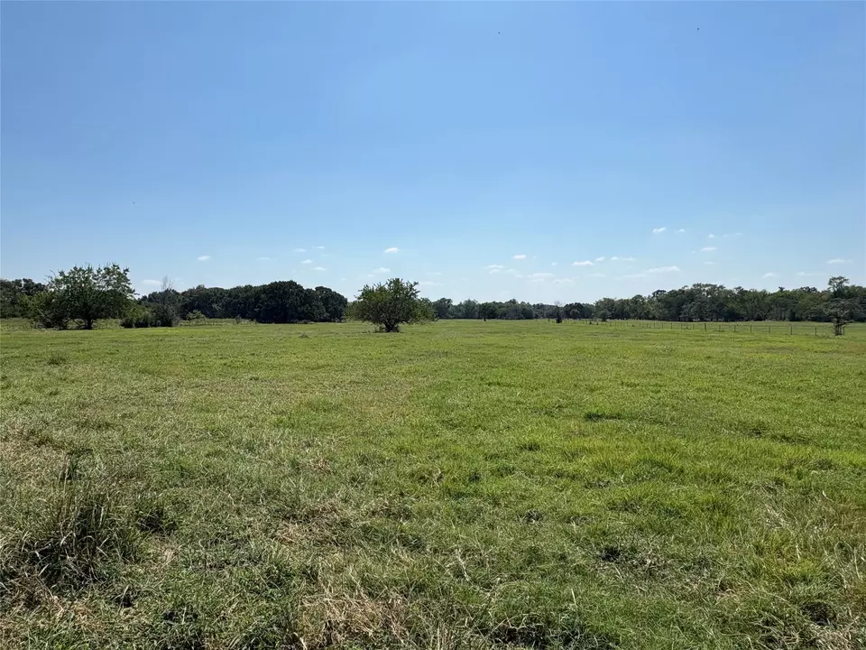  tbd 3 County Road 1168 #TRACT 3, Brashear, TX 75420 photo 9