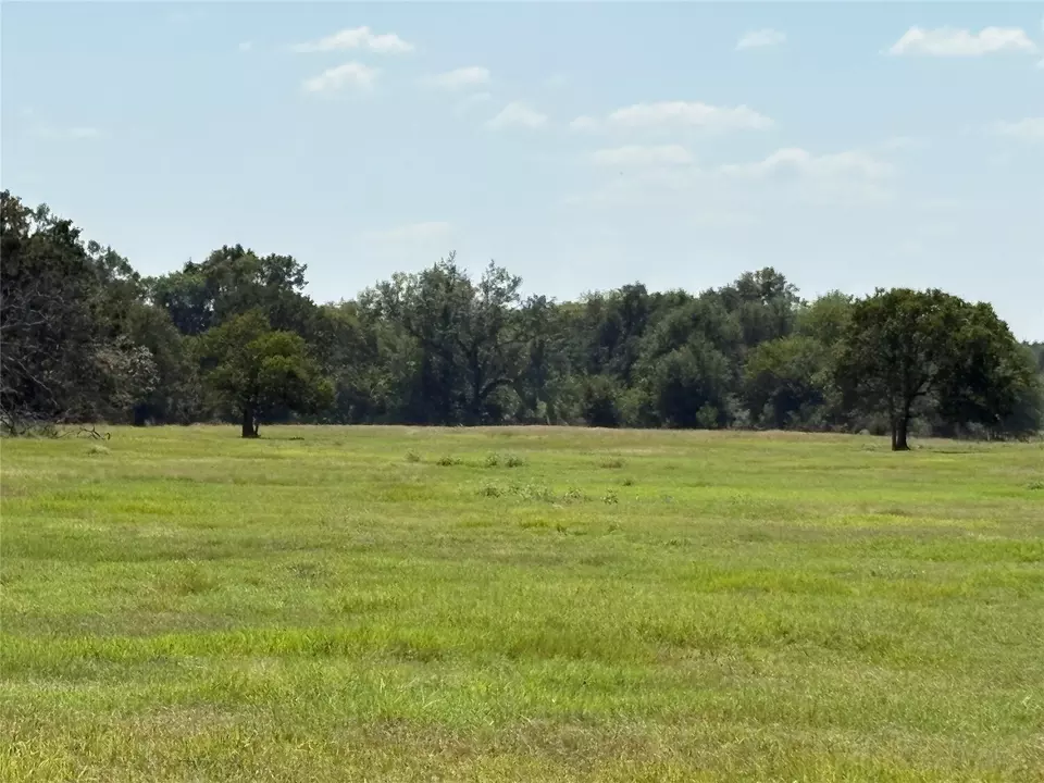  tbd 3 County Road 1168 #TRACT 3, Brashear, TX 75420 photo 7