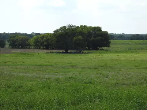 tbd County Road 4040, Ector, TX 75439 photo 16
