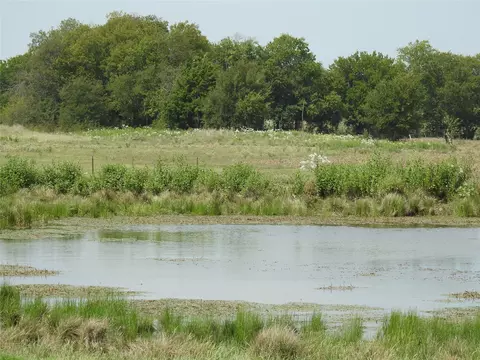 tbd County Road 4040, Ector, TX 75439 photo 9