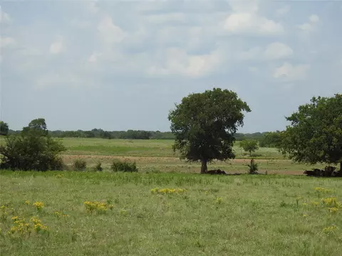 tbd County Road 4040, Ector, TX 75439 photo 8