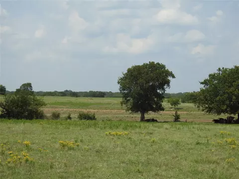 tbd County Road 4040, Ector, TX 75439 photo 8