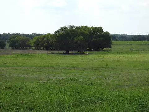 tbd County Road 4040, Ector, TX 75439 photo 16