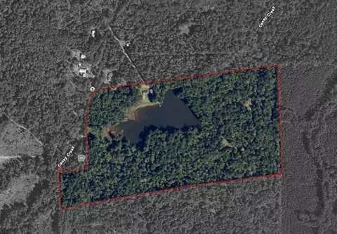 649 An County Road 1215, Grapeland, TX 75844
