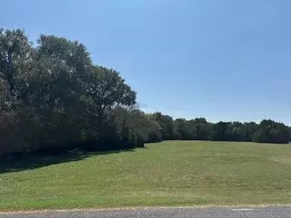 1017 White Bluff Dr, Whitney, TX 76692