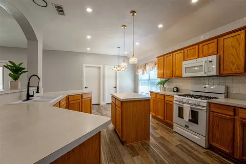 4820 Spring Tree Ln, Sachse, TX 75048 photo 7