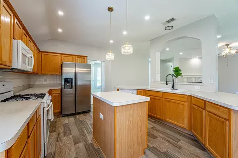 4820 Spring Tree Ln, Sachse, TX 75048 photo 9
