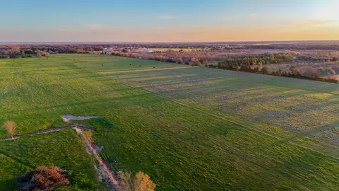 00 Cr 2245, Ivanhoe, TX 75447