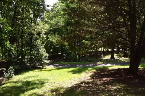 160 Valley View St, Minden, LA 71055 photo 13