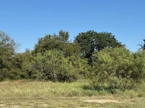 31033 Doe Run Ct, Whitney, TX 76692