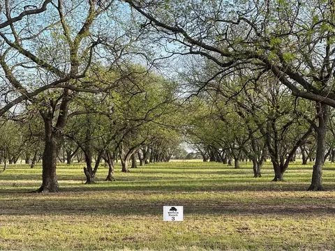 tbd Cr 461, De Leon, TX 76444