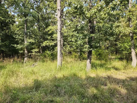 lot31 Fox Point Rd, Quinlan, TX 75474