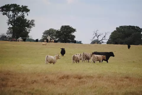 tbd County Road 150, Comanche, TX 76442 photo 18