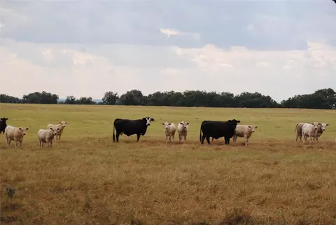 tbd County Road 150, Comanche, TX 76442 photo 17