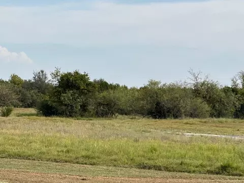 1015 White Bluff Dr, Whitney, TX 76692