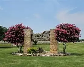 39038 Mesquite Dr, Whitney, TX 76692