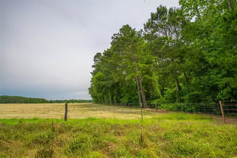 4206 Gilliam Ln, Naples, TX 75568