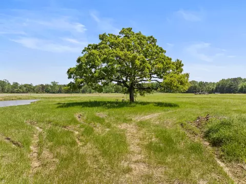 lot A County Road 3324, Pittsburg, TX 75686