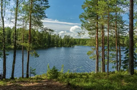 50 Cr 3227 #LOT 3, Mount Pleasant, TX 75455