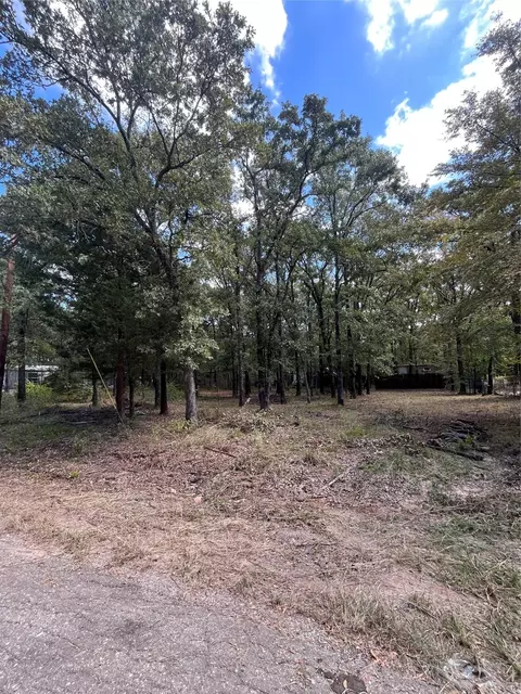 308 Navajo Trl, West Tawakoni, TX 75474
