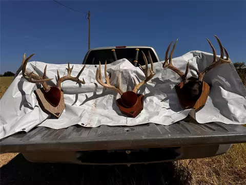 tbd Cr 403, Comanche, TX 76442 photo 3