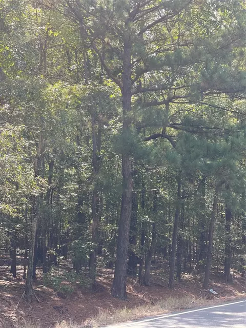 0 Ferry Lake Tract C, Oil City, LA 71061