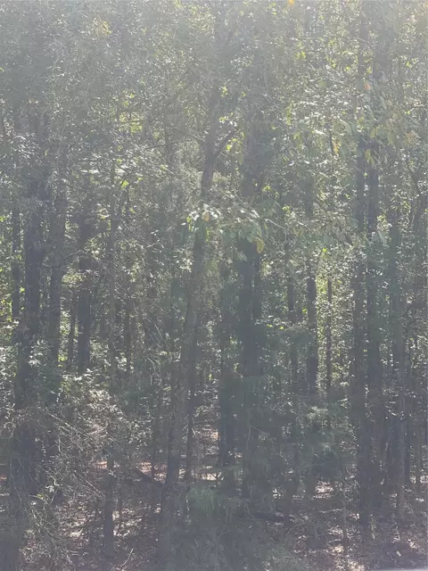 0 Ferry Lake Tract E, Oil City, LA 71061
