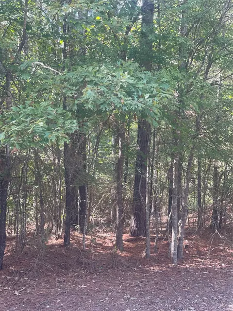 0 Ferry Lake Tract B, Oil City, LA 71061