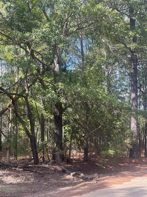 0 Ferry Lake Tract A, Oil City, LA 71061