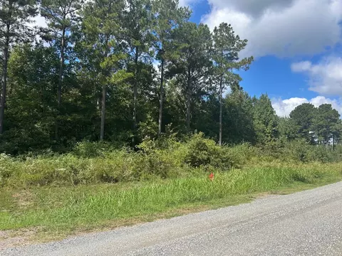 0 Cottonwood, Frierson, LA 71027