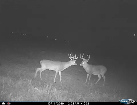 tbd Fm 367, Electra, TX 76360