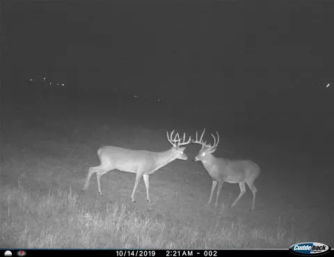 tbd Fm 367, Electra, TX 76360