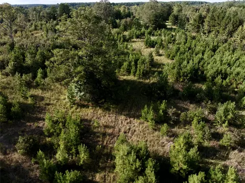 0 Mae Oney Rd, Harleton, TX 75651 photo 11