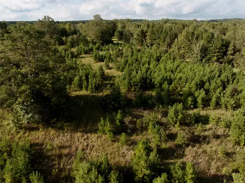 0 Mae Oney Rd, Harleton, TX 75651 photo 4