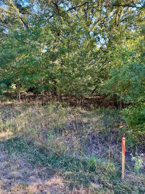 291 Buena Vis, Malakoff, TX 75148